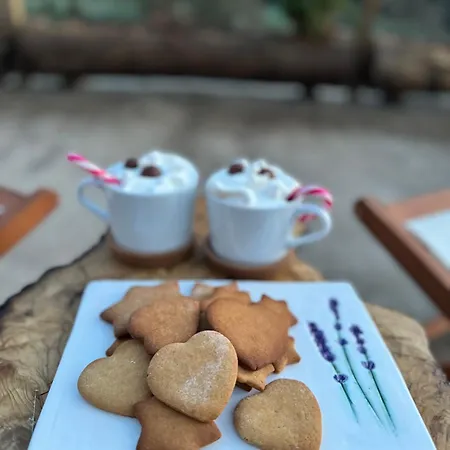 Gospodarstwo wiejskie Casa Da Alfazema