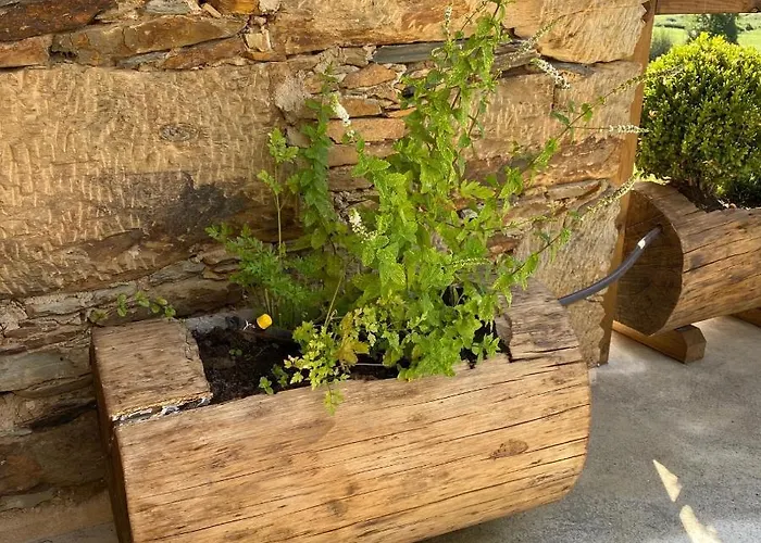 Casa Da Alfazema Gospodarstwo wiejskie Arganil