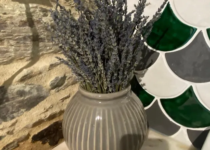 Casa Da Alfazema Arganil