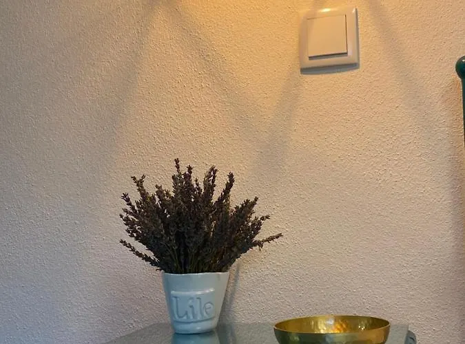 Casa Da Alfazema Gospodarstwo wiejskie *