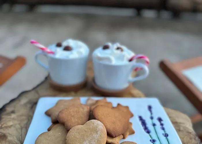 Gospodarstwo wiejskie Casa Da Alfazema